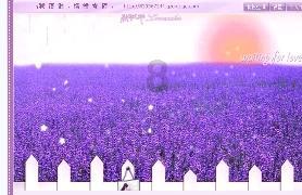 剑刃风暴